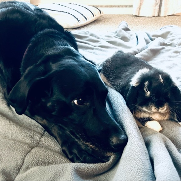 Meet your Posher, Anastasia - Picture 5 of 8